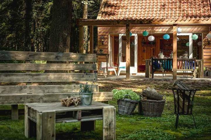 Serene Forest Hotel Stay in the Heart of Veluwe | Nature Trails & Fresh Air in Putten, Veluwe