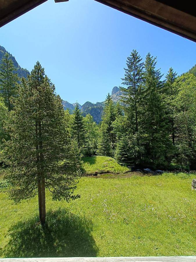 Ganze Wohnung, Chalet Filfalle in Kandersteg, Frutigen - Lenk - Adelboden