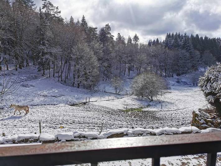 Location de vacances pour 10 personnes, avec Jardin et Vue à Royère-de-Vassivière - 3