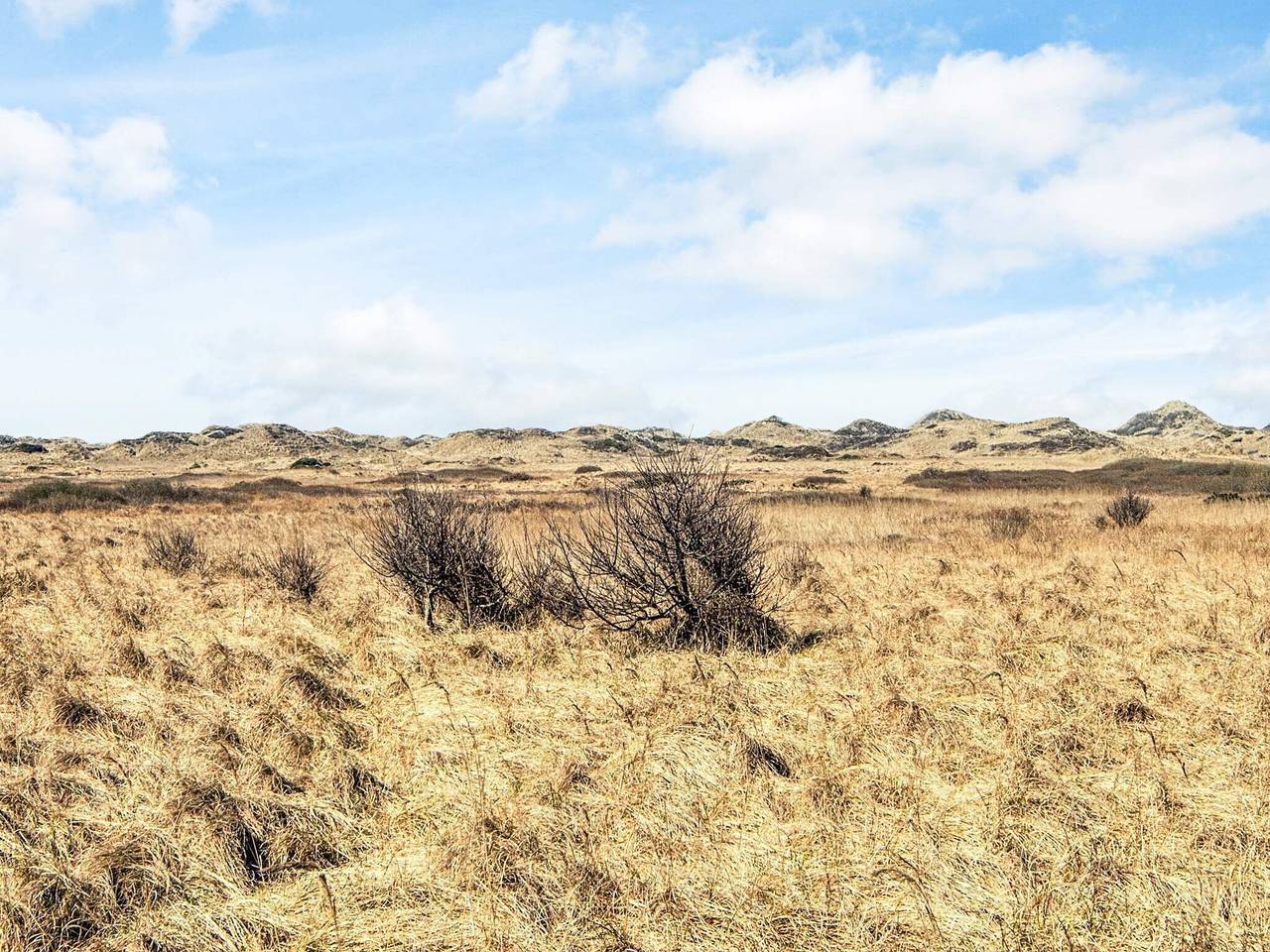 Hytte i campingresort - delt badeværelse in Jammerbugt