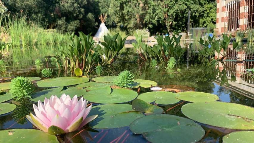 Gîte pour 4 personnes, avec jacuzzi et sauna ainsi que jardin et piscine à Montréal (Lanquedoc-Roussillon) - 4