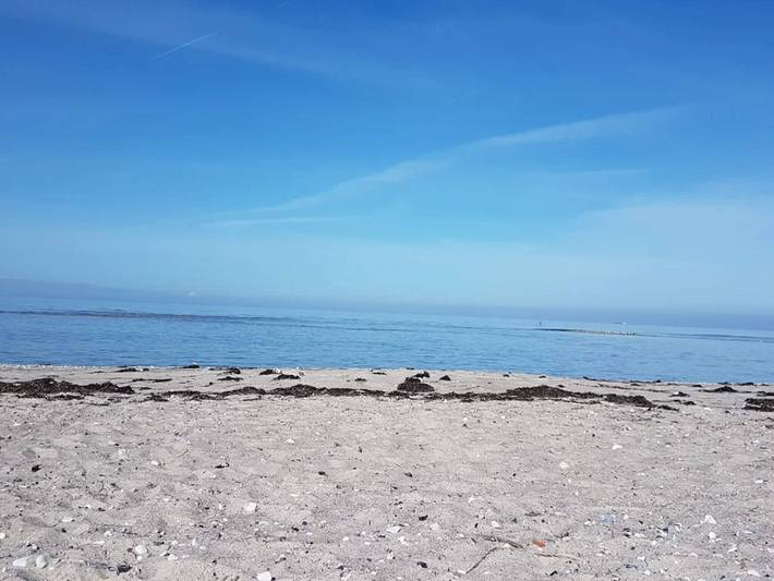 Ferienhaus für 4 Personen, mit Terrasse, mit Haustier in Djursland - 4