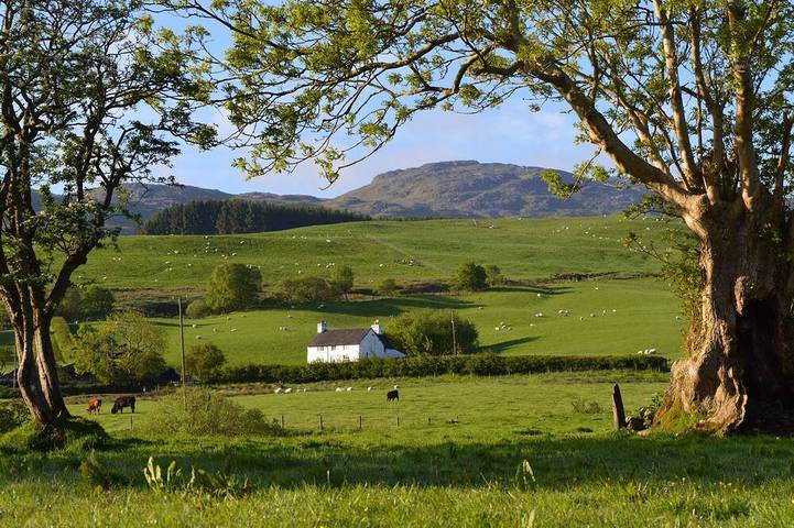 Ferienhaus für 6 Personen, mit Garten im Snowdonia