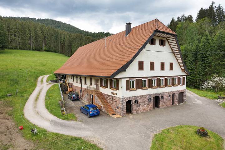 Geheel appartement, Appartement 'Ferienwohnung Torbrünnele' met Uitzicht op de Bergen, Privéterras en Wi-Fi in Bad Rippoldsau-Schapbach, Wolftal Region