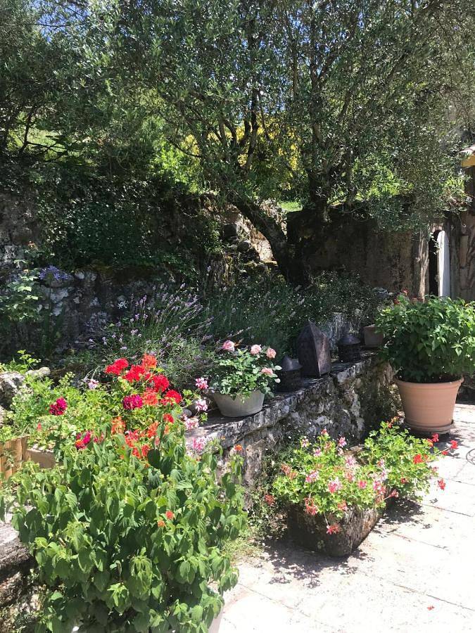 Location de vacances pour 6 personnes, avec jardin et piscine, animaux acceptés à Sallebœuf - 3