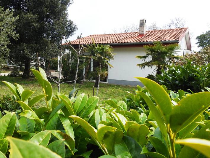 Ferienhaus für 5 Personen, mit Terrasse und Garten in Pinezici - 4