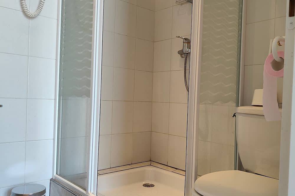 Entire apartment, Room \"Domaine du Cèdre\" with Shared Terrace, Balcony, and Wi-Fi in La Vôge-les-Bains, Épinal region