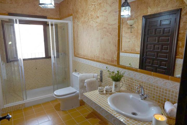 Hotel para 16 personas, con piscina para niños y piscina además de jardín y jacuzzi en Provincia de Ávila - 3