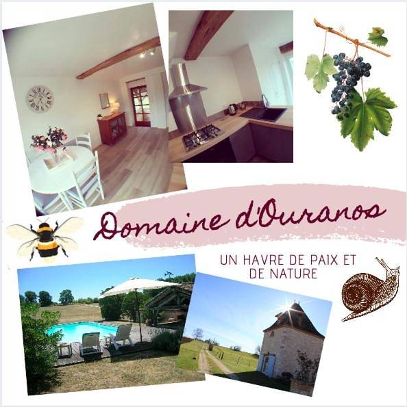 Location de vacances pour 4 personnes, avec piscine ainsi que vue et jardin à Pujols - 4