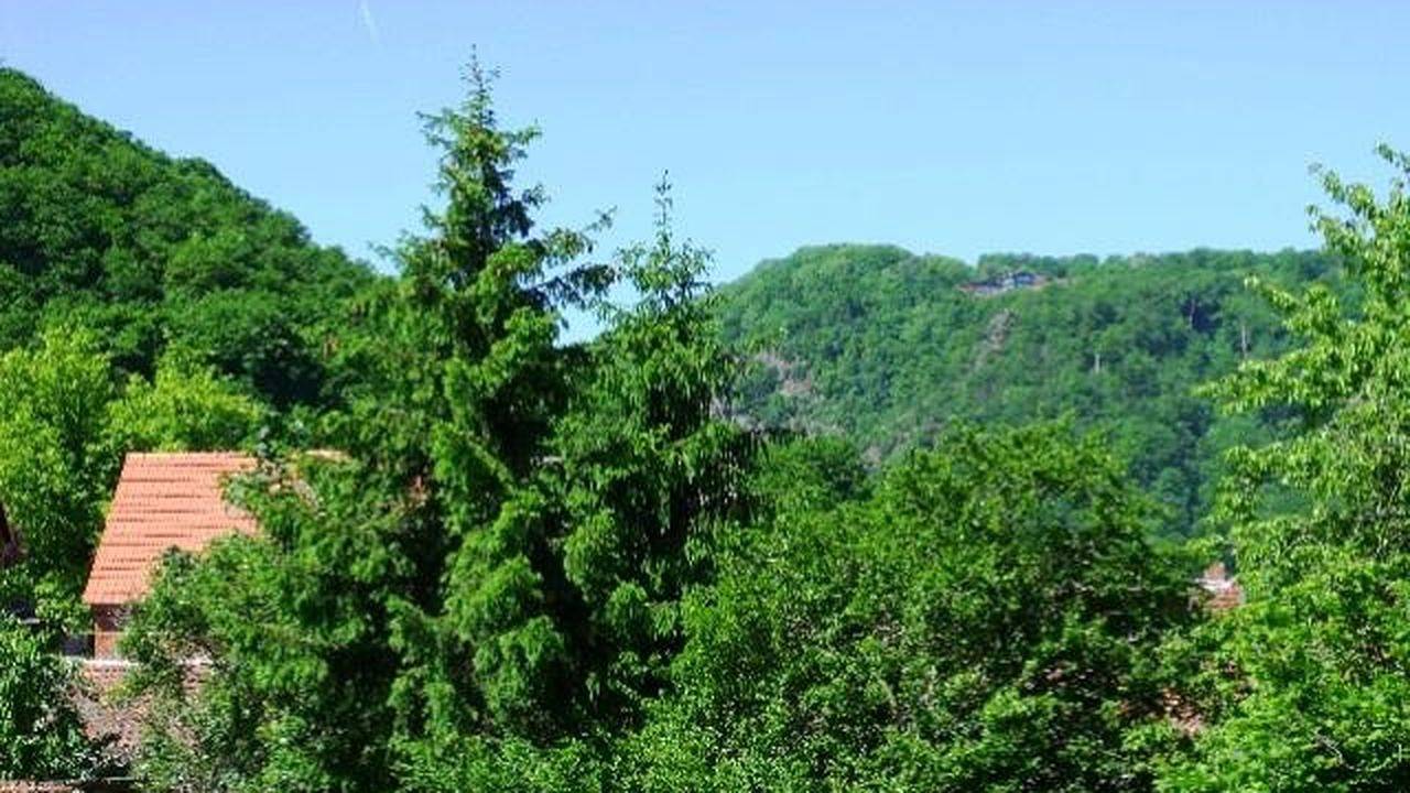 Apartamento vacacional entero, Ferienwohnung für 2 Personen (30 m²) in Thale in Thale, Harzvorland