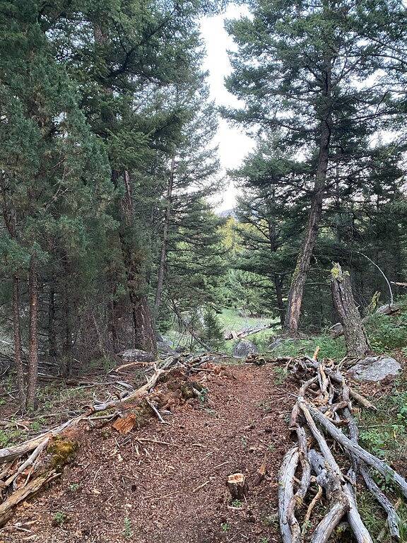 Romantic, Private Cabin with hot tub for couples. Close to Discovery Ski Hill in Granite County