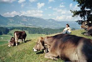 Pension für 2 Personen, mit Balkon und Garten sowie Sauna in Oberstdorf - 4