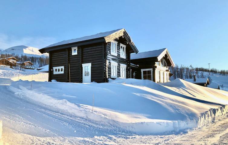 Ferienhaus für 15 Personen, mit Terrasse und Garten sowie Sauna in Telemark - 4
