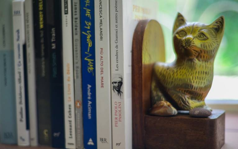 Gîte pour 2 personnes, avec jardin dans l' Hérault - 4