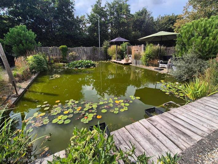 Chambre d’hôte pour 2 personnes, avec Terrasse et Jardin ainsi que Sauna et Vue à Zoutelande - 4