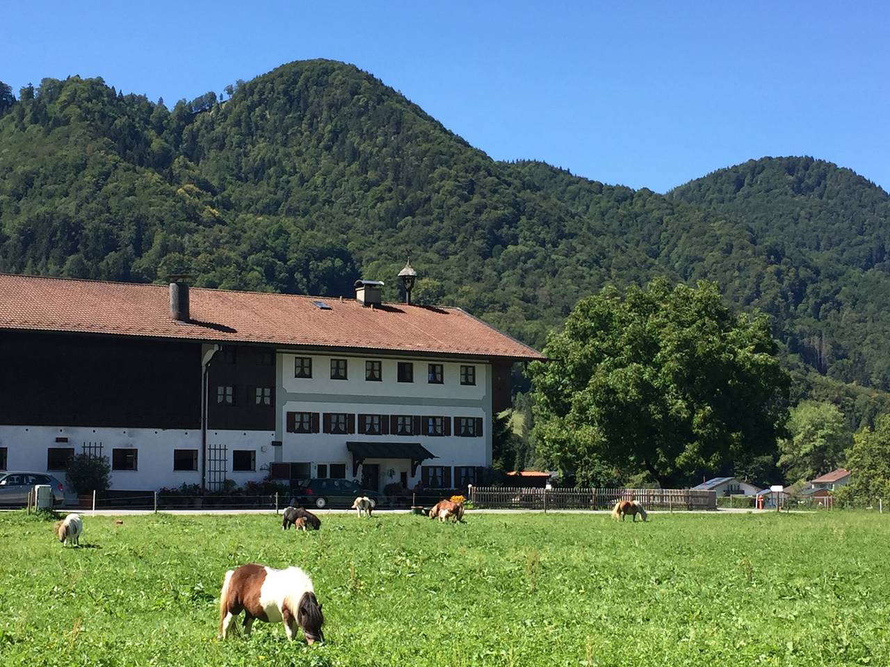 Ganze Ferienwohnung, Bauernhof Kiesmüller Hof - Ferienwohnung Nr.1 Schlafzimmer, Wohnzimmer und Süd/West-Balkon, 50 qm in Kampenwand, Aschau im Chiemgau