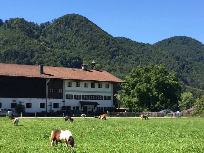 Ganze Ferienwohnung, Bauernhof Kiesmüller Hof - Ferienwohnung Nr.1 Schlafzimmer, Wohnzimmer und Süd/West-Balkon, 50 qm in Kampenwand, Aschau im Chiemgau