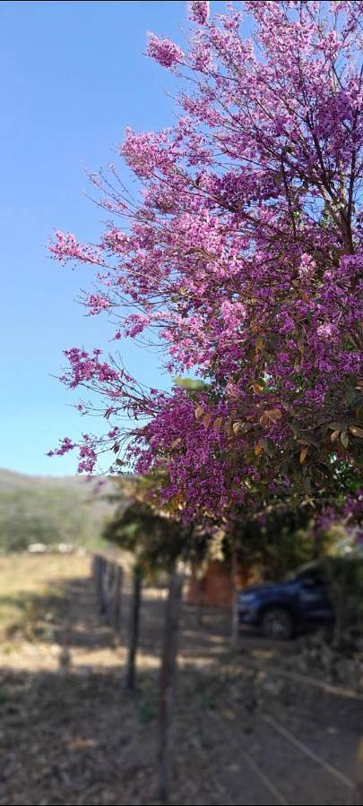 Pousadas para 2 pessoas, com piscina e balcão e ainda vista and jardim em Nobres