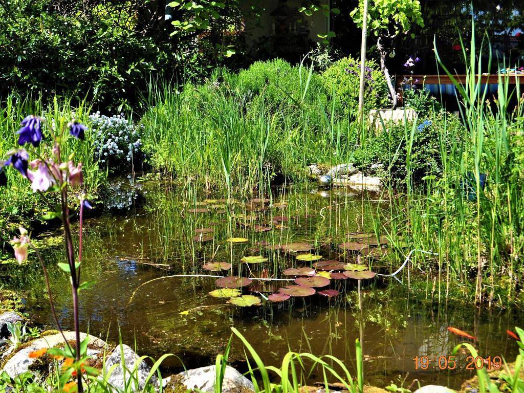 Ganze Ferienwohnung, Ferienwohnung Fischer - Ferienwohnung mit 1 Schlafzimmer und Südwestterrasse in Chieming, Chiemsee