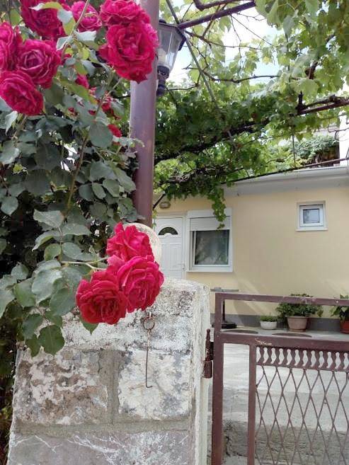 Ferienwohnung für 2 Personen, mit Terrasse und Garten sowie Ausblick in Budva - 4