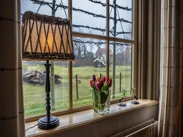 Ferienhaus für 4 Personen, mit Terrasse und Garten, mit Haustier in Vrouwenpolder