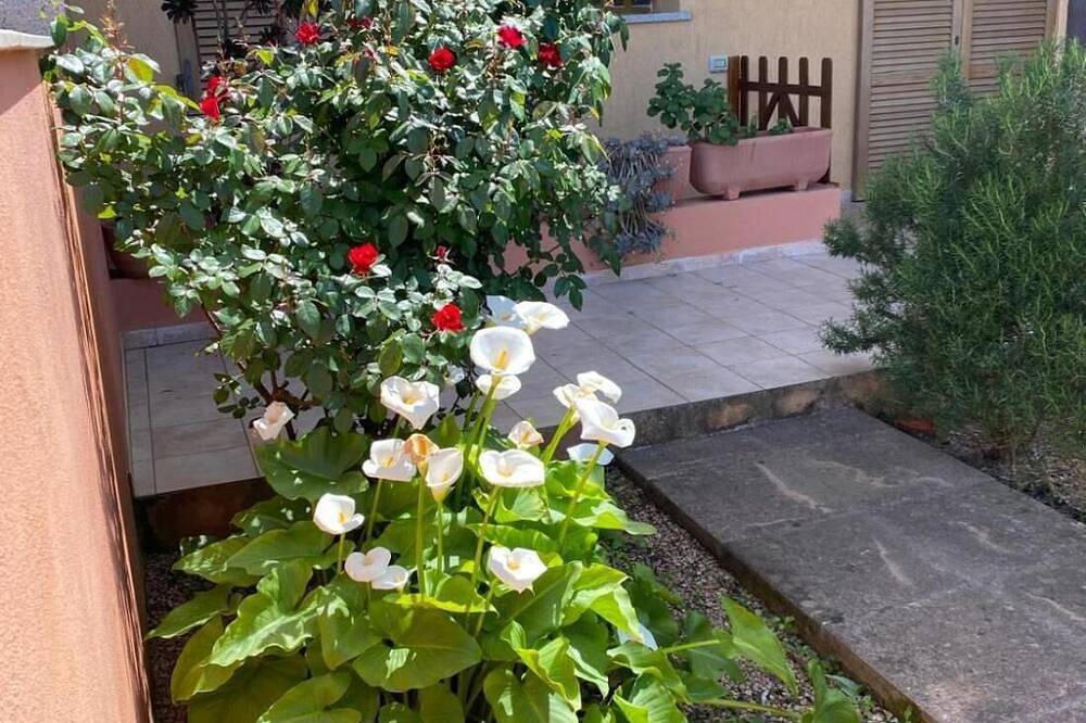 Casa I Corbezzoli - Paduledda - Isola Rossa in Trinità d'Agultu e Vignola (Borgo), Trinità d'Agultu e Vignola