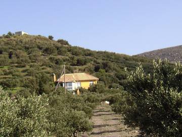 Villa per 4 Persone in Kalo Chorio, Creta Nord, Foto 1