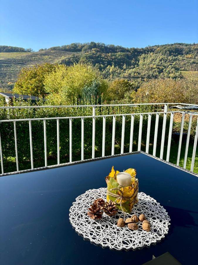 Ferienwohnung für 2 Personen, mit Terrasse und Ausblick in Zeltingen-Rachtig - 4