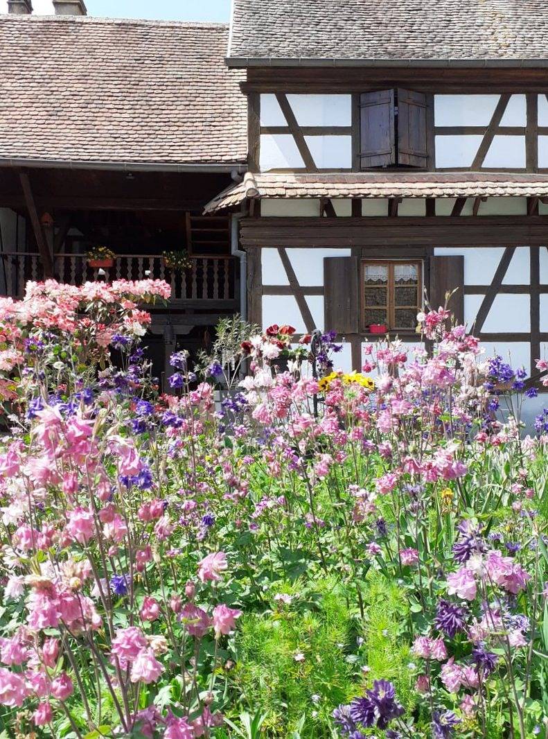 Au Jardin Fleuri, entre Strasbourg et Colmar - Chambre Bleuet in Uttenheim, Région de Sélestat-Erstein