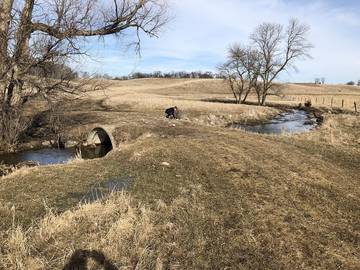 Barn for 6 Guests in Minnesota, USA, Picture 4