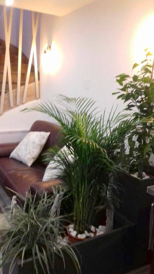 Location de vacances pour 4 personnes dans Office De Tourisme De Mers Les Bains - 3