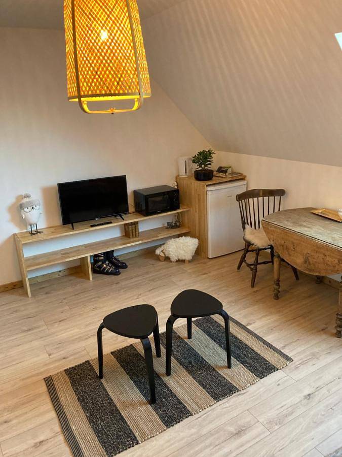 Gîte pour 4 personnes, avec vue à Bourisp - 4