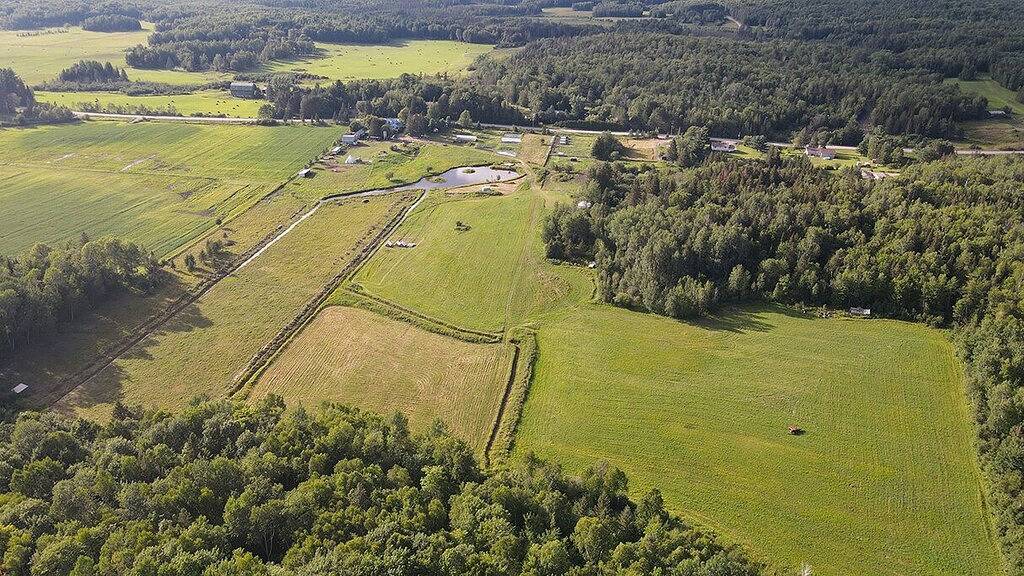 Escape to Nature: Cozy Yurt on a Heritage Farm with Trails, Pond, & Sauna in Algonquin Provincial Park