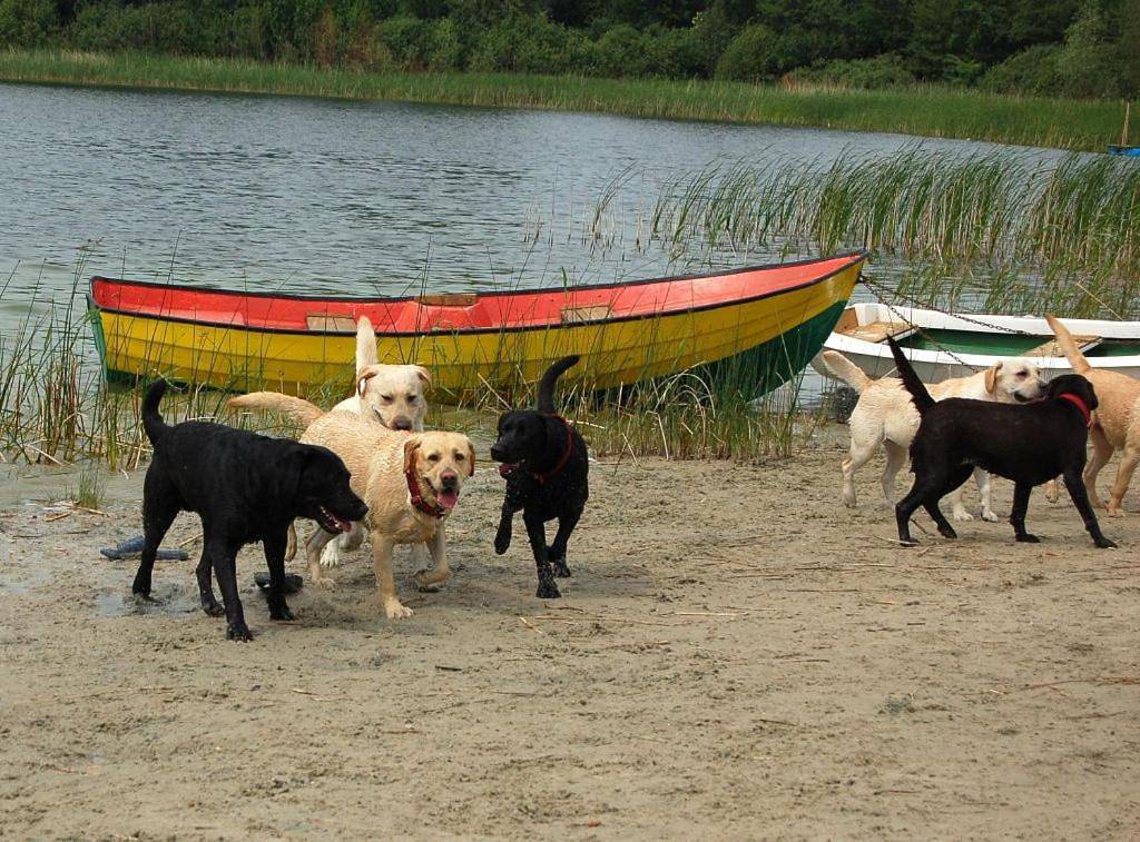 Domki drewniane alpejskie in Wielkopolska