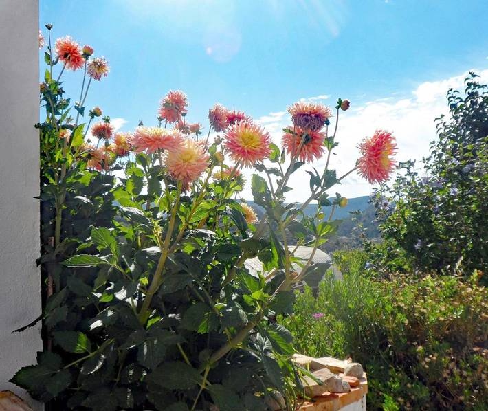 Location de vacances pour 5 personnes, avec jardin à Tàrbena - 2