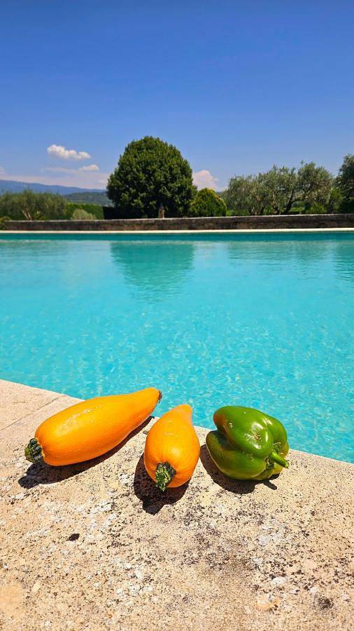 Appartement de vacances entier, Gîte Mas Antinea in Mazan, Parc naturel régional du Mont-Ventoux