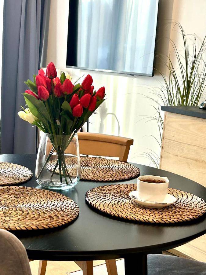 Apartament wakacyjny dla 4 osób, z Balkon i Taras oraz Ogród i Widok w Wyspa Sobieszewska