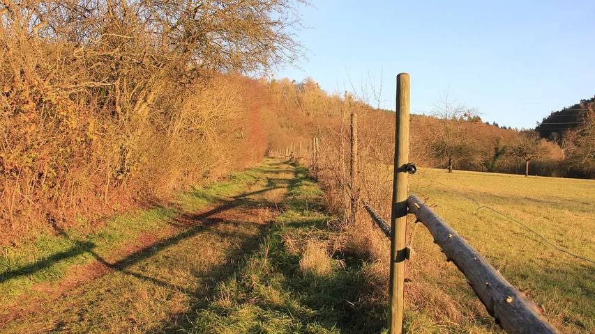 Ferienwohnung für 2 Personen, mit Garten in Michelstadt - 4