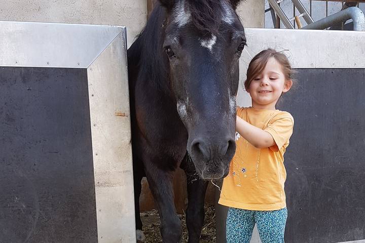 Ferienhaus für 6 Personen, mit Garten und Whirlpool sowie Sauna, kinderfreundlich im Sauerland - 4