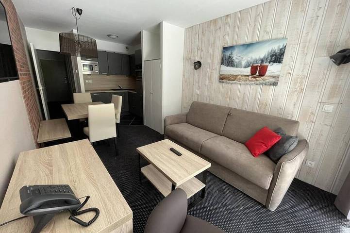 Entire apartment, 150m from ski slopes, 2nd floor, view ski slopes, swimming pool, terrace, tv, ski locker, 29m² in Gourette, Eaux-Bonnes