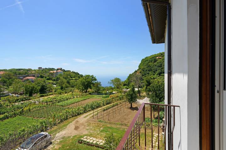 Entire apartment, Apartment 'Vista Mare A Due Passi Dal Sentiero Degli Dei' with Sea View, Wi-Fi and Air Conditioning in Pianillo, Agerola