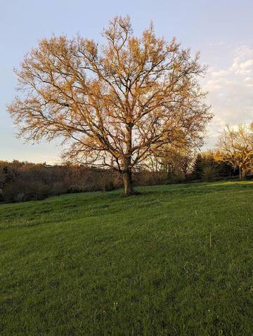 Location de vacances pour 7 personnes, avec vue ainsi que jardin et terrasse à Bretagne-d'Armagnac
