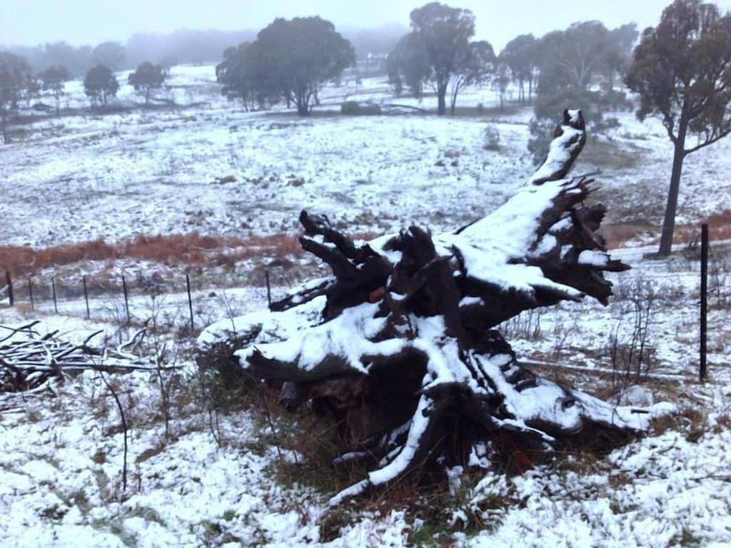 30 Acres, Tennisplätze, Badestellen, Feuerstelle, Angeln, Buschwanderungen & Familie in New South Wales