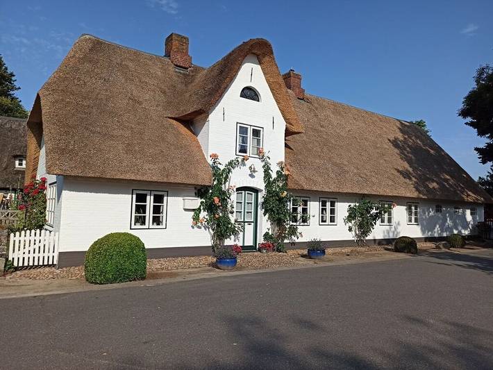 Ferienhaus für 2 Personen, mit Terrasse, mit Haustier - 1