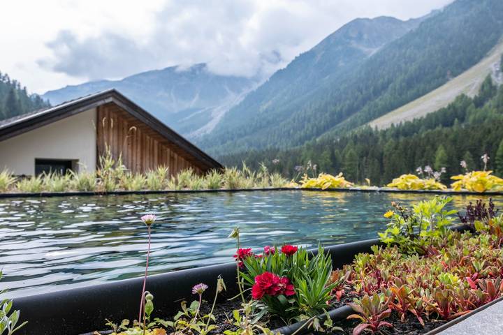 Ganzes Studio, Einzimmerapartment 'Rumwaldhof Arnika' mit Bergblick, Gemeinschaftsterrasse und Wi-Fi in Stilfs, Nationalpark Stilfser Joch