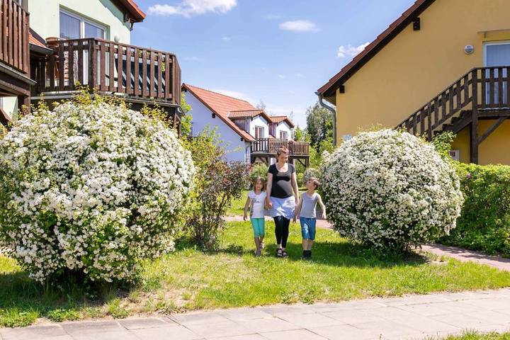Ferienpark für 3 Personen, mit Ausblick und Garten sowie Sauna an der Müritz - 2
