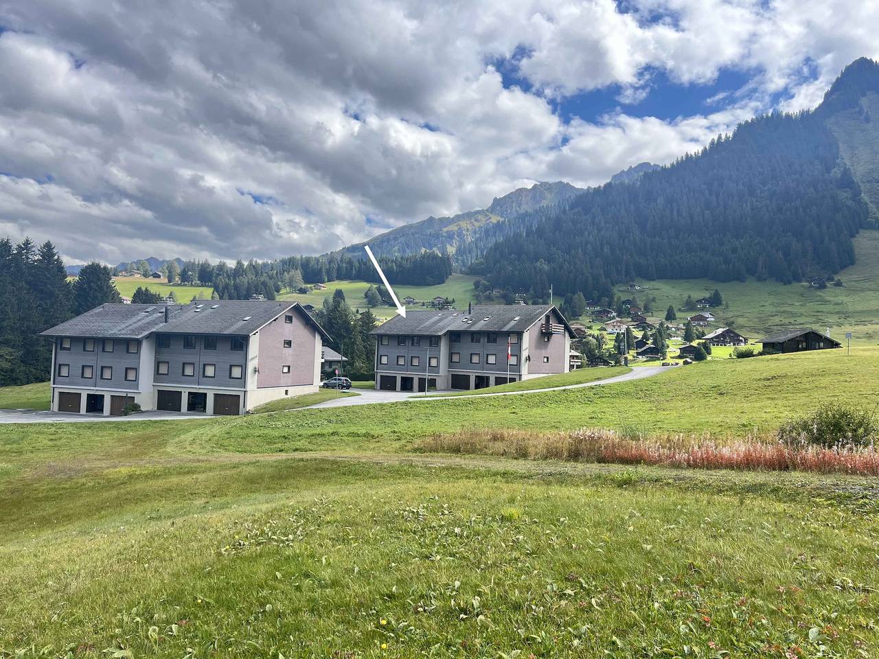 Ganze Ferienwohnung, Résidence A9 - Les Myosotis - 2,5 Zimmer Wohnung in Les Mosses, Ormont-Dessous