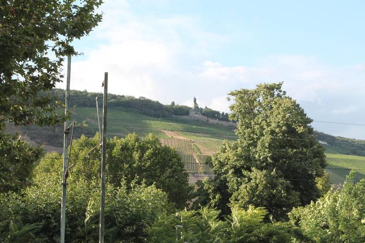 Ferienwohnung für 6 Personen in Bingen am Rhein - 2