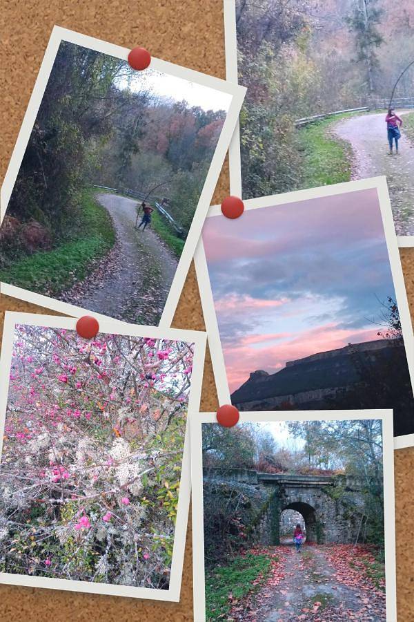 Hotel para 2 personas, con vistas además de balcón y jardín en Provincia de Burgos - 4