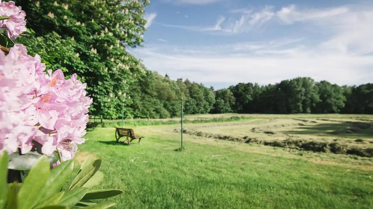 Ganze Ferienwohnung, Ferienwohnung für 3 Personen (75 m²) in Schneverdingen in Schneverdingen, Landkreis Heidekreis